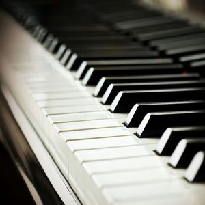 办公室艹逼视频
