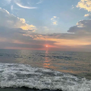 办公室艹逼视频
