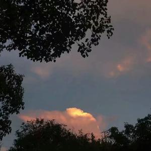 办公室艹逼视频
