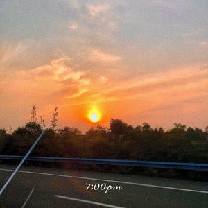 办公室艹逼视频
